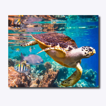 Aquatic Adventures - Schilderen Op Nummer